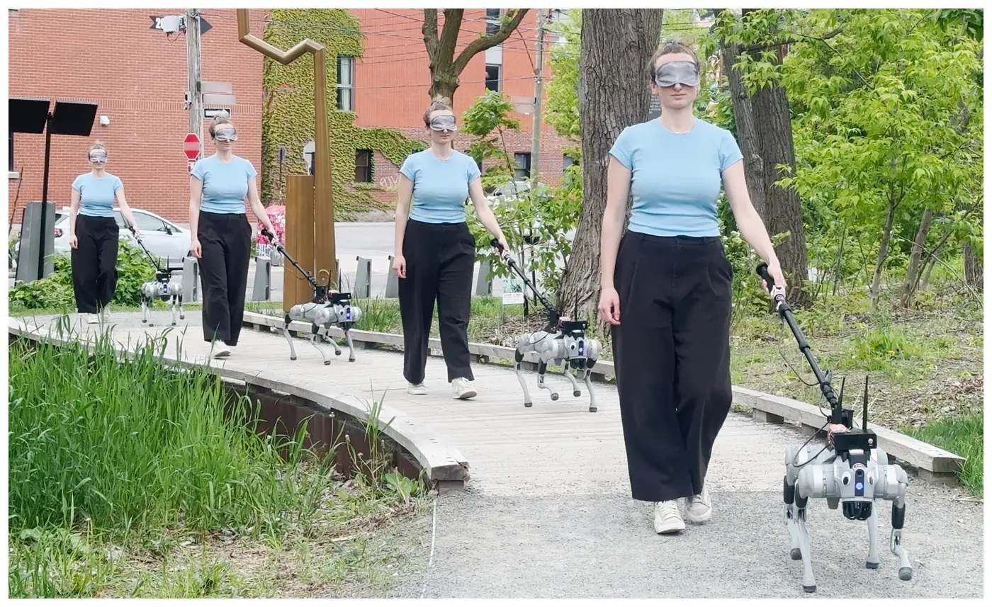 A sequence of Milo guiding a handler across a bridge in a park.